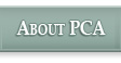 Learn More About PCA